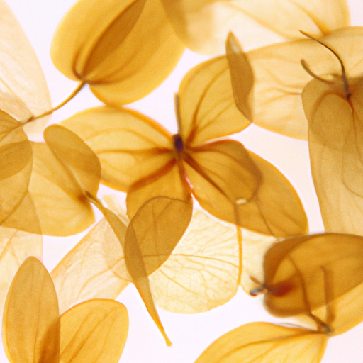 스포츠 스코어 링크 스포츠 스코어 링크